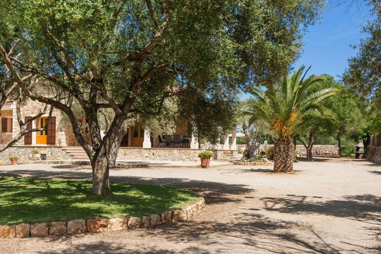 Finca Isabel Y Guillermo Con Posibilidad De Piscina Climatizada Синеу Екстериор снимка